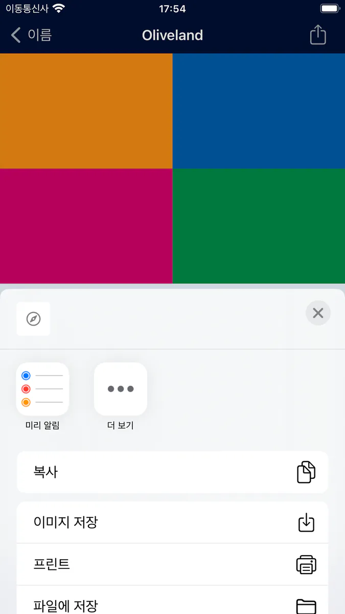 FlagDict+: 세계 국기 App Store 공개 화면 5