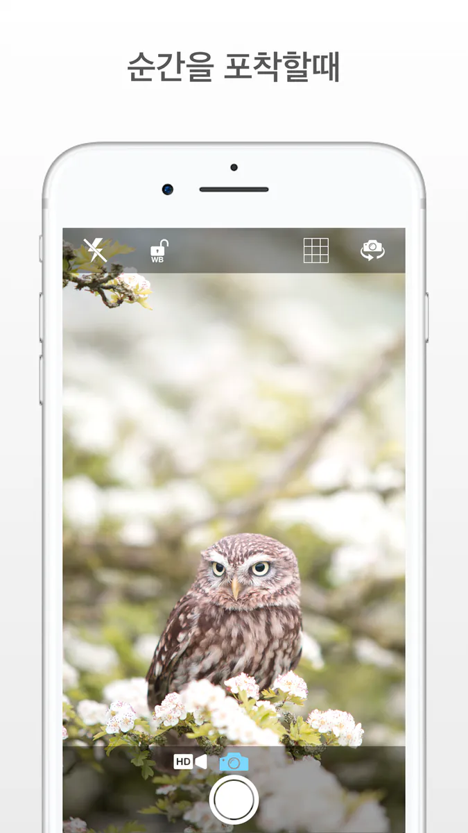 매일 조용한 카메라! App Store 공개 화면 4