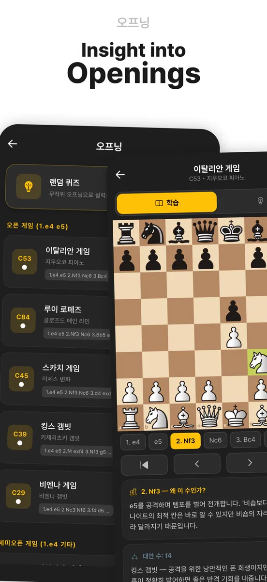 Lina Chess: 오프라인 AI 분석과 퍼즐(퀴즈) App Store 공개 화면 4