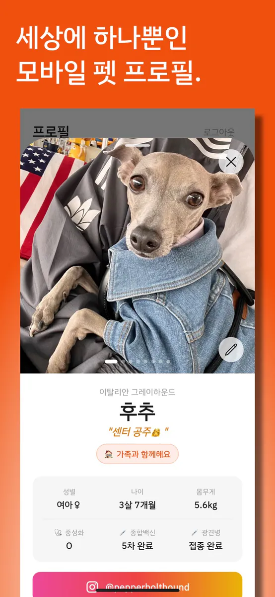 꼬순 - 반려동물 일기 & 프로필 App Store 공개 화면 3