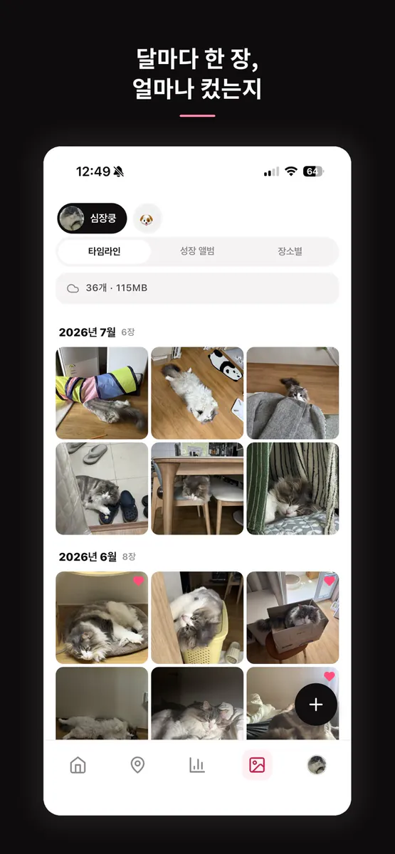 바비쿵 - 반려동물 데일리 케어 App Store 공개 화면 3