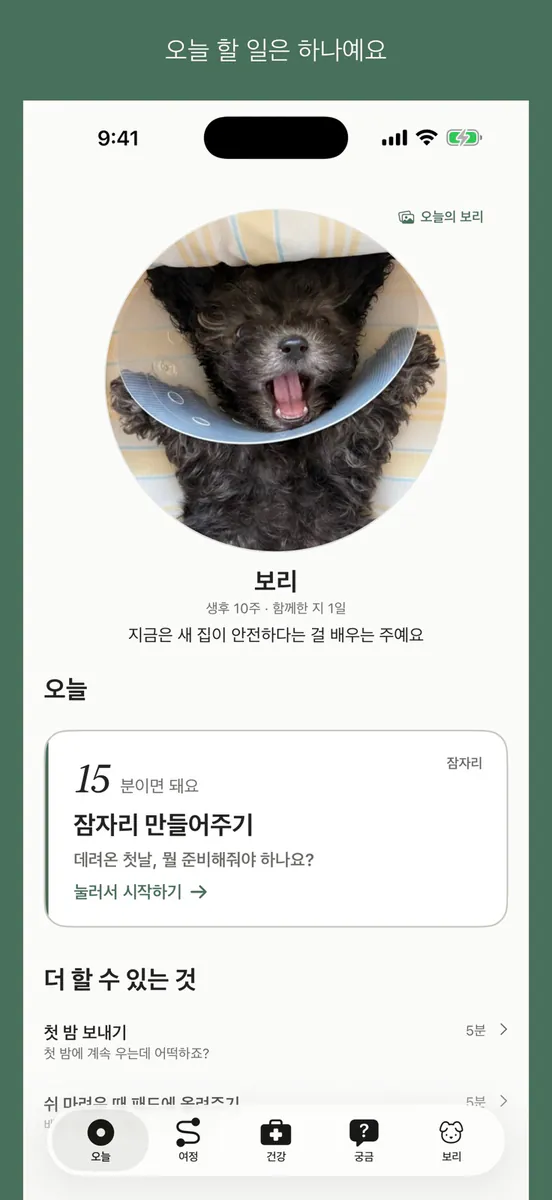 왈로그 - 강아지 시기별 양육가이드 App Store 공개 화면 1