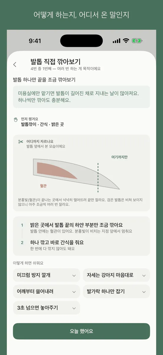 왈로그 - 강아지 시기별 양육가이드 App Store 공개 화면 2
