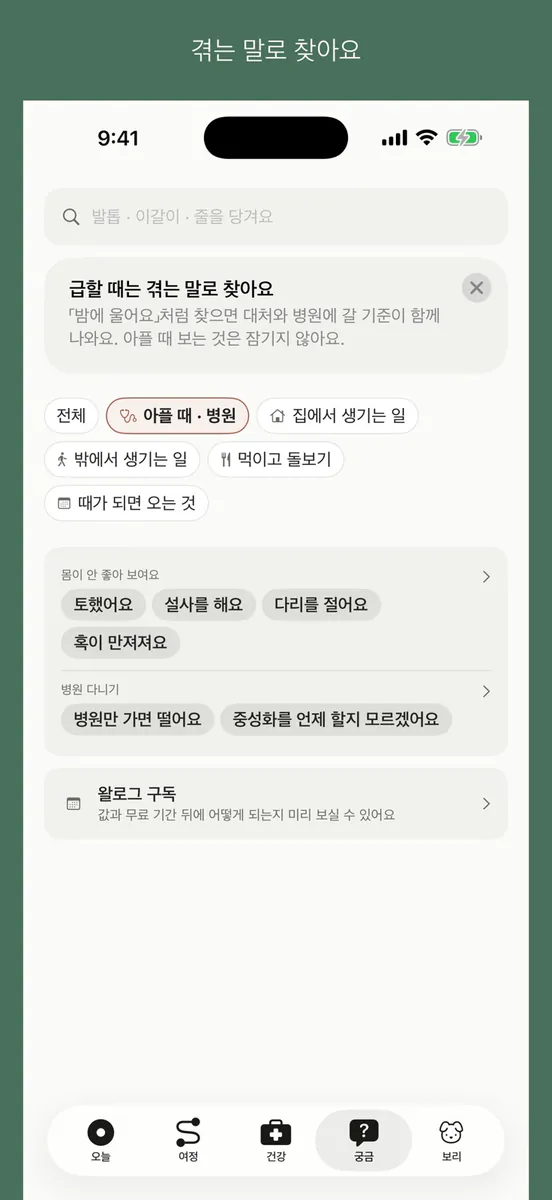 왈로그 - 강아지 시기별 양육가이드 App Store 공개 화면 5