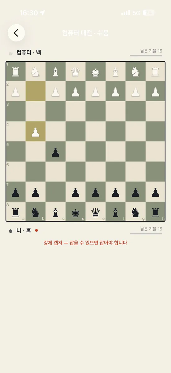 리버스 체스 App Store 공개 화면 5