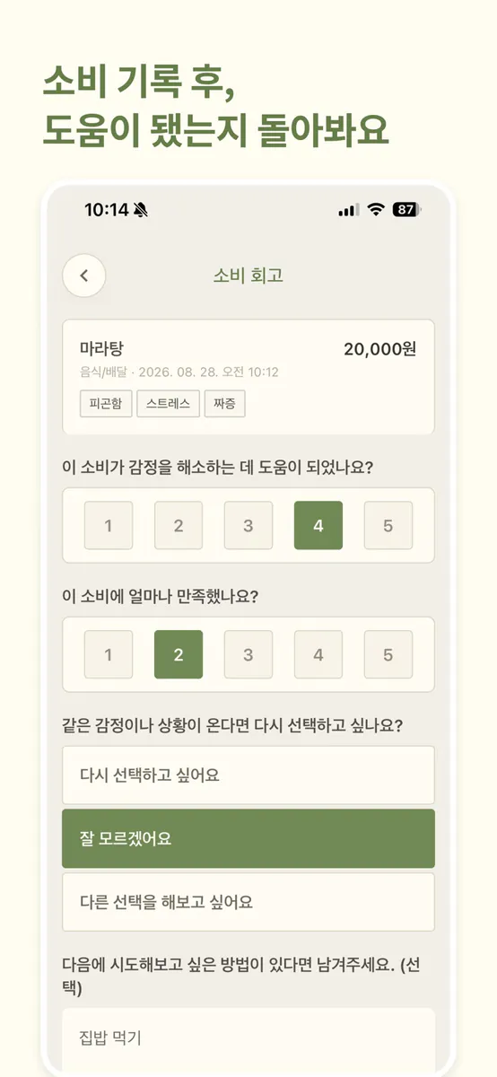 감정소비 영수증 App Store 공개 화면 3