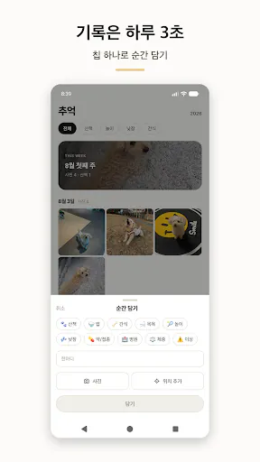 멍냥로그 Google Play 공개 화면 2
