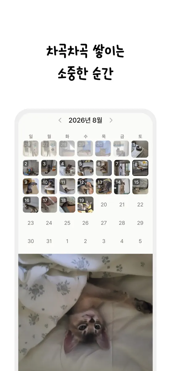 내새끼귀여워 App Store 공개 화면 3