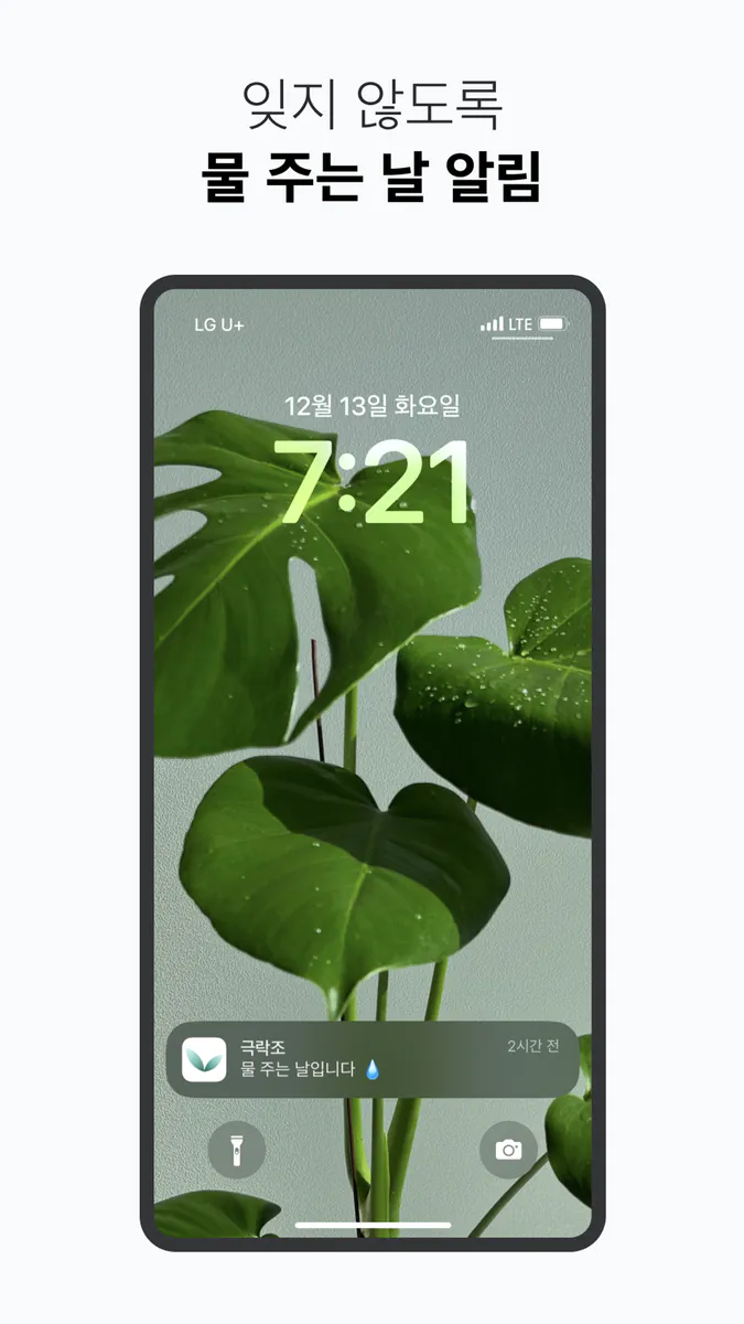 식물 가족 - 물 주기 알림 App Store 공개 화면 4