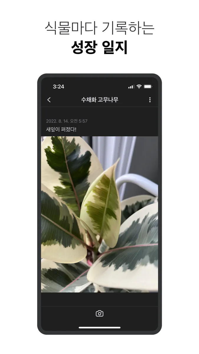 식물 가족 - 물 주기 알림 App Store 공개 화면 5