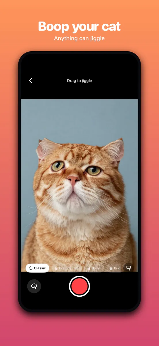 Wobble: Jiggle Photo Effect App Store 공개 화면 3